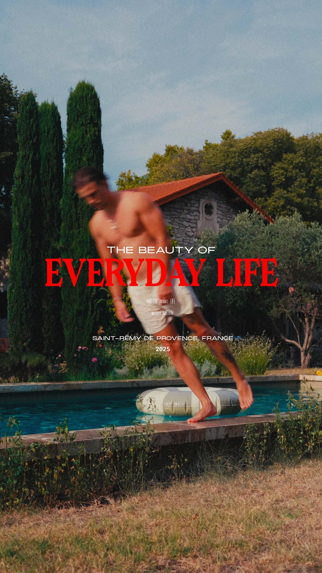 THE BEAUTY OF EVERYDAY LIFE