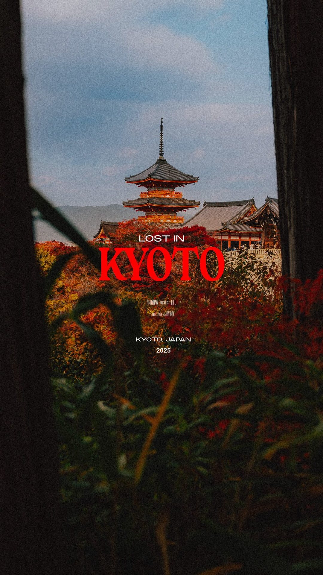 LOST IN SEOUL