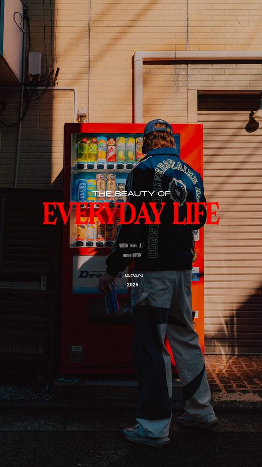 THE BEAUTY OF EVERYDAY LIFE