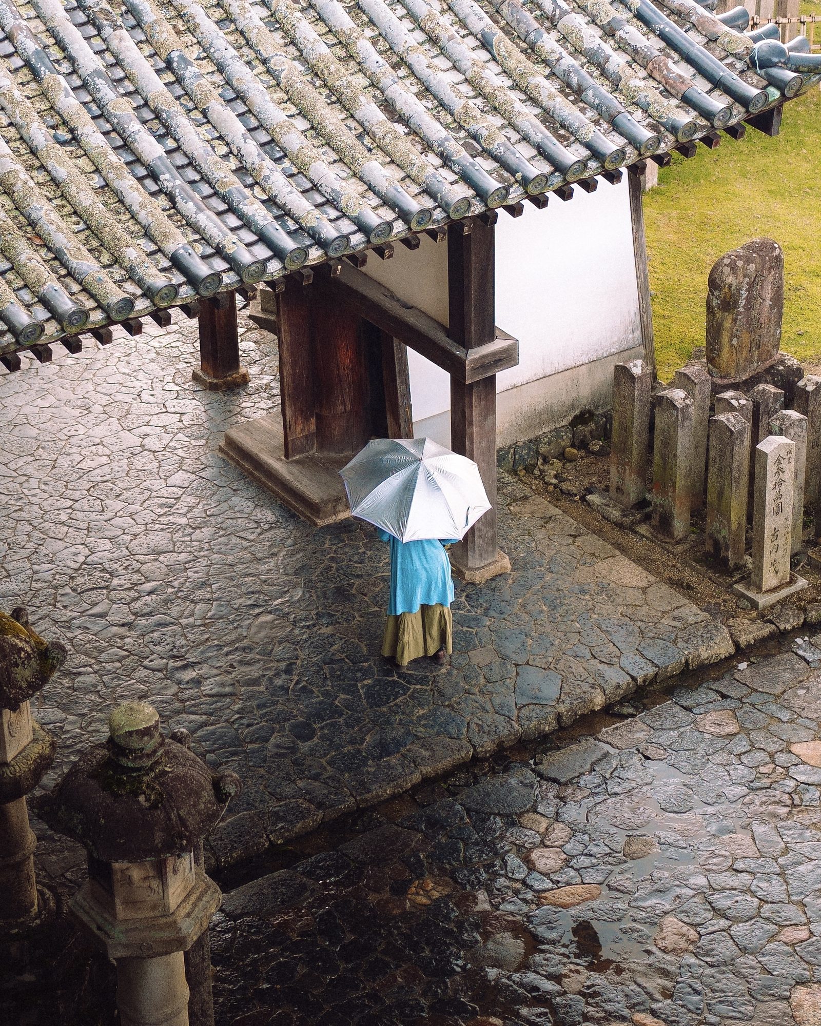 Photograph 31