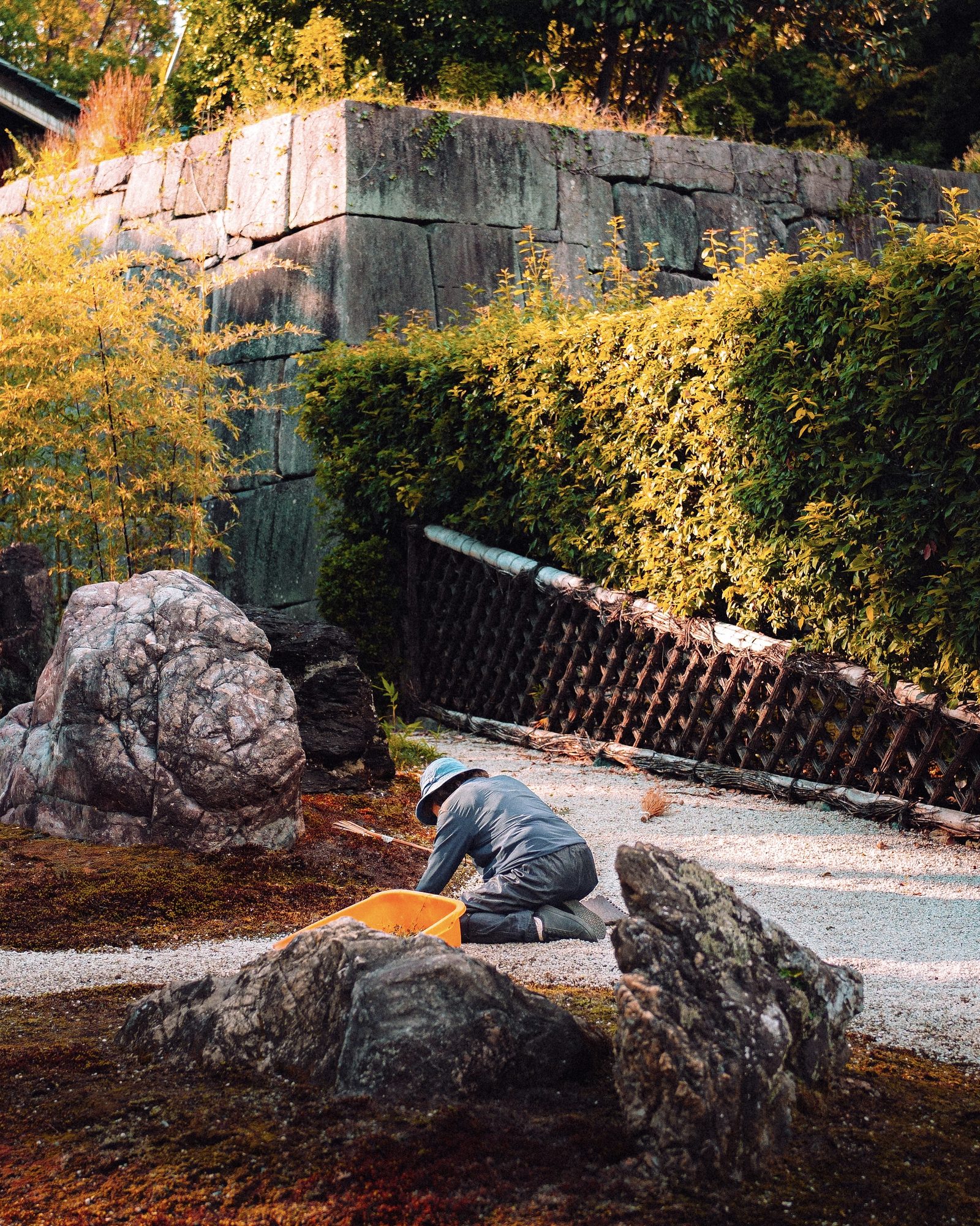 Photograph 32