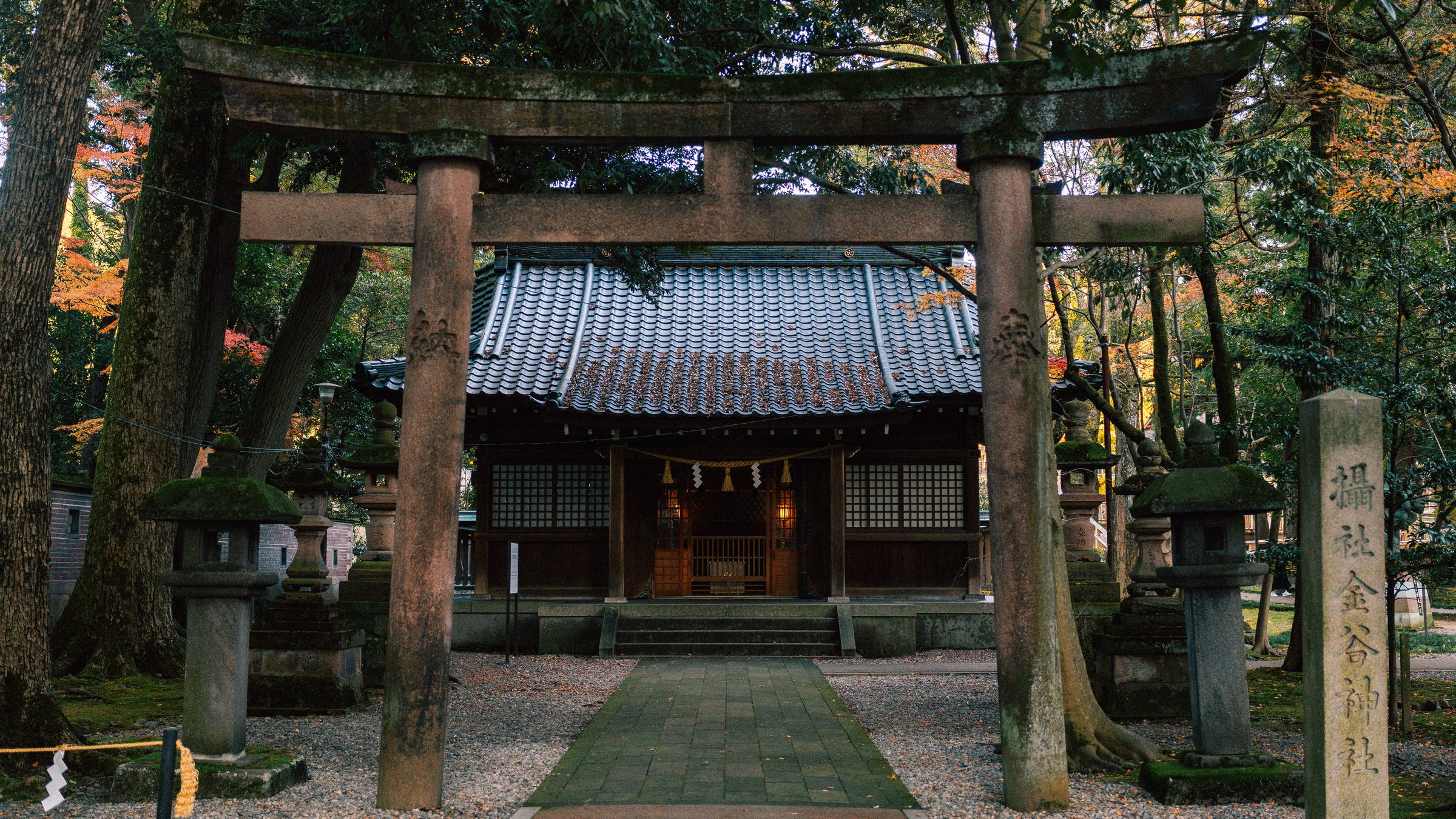Photograph 51