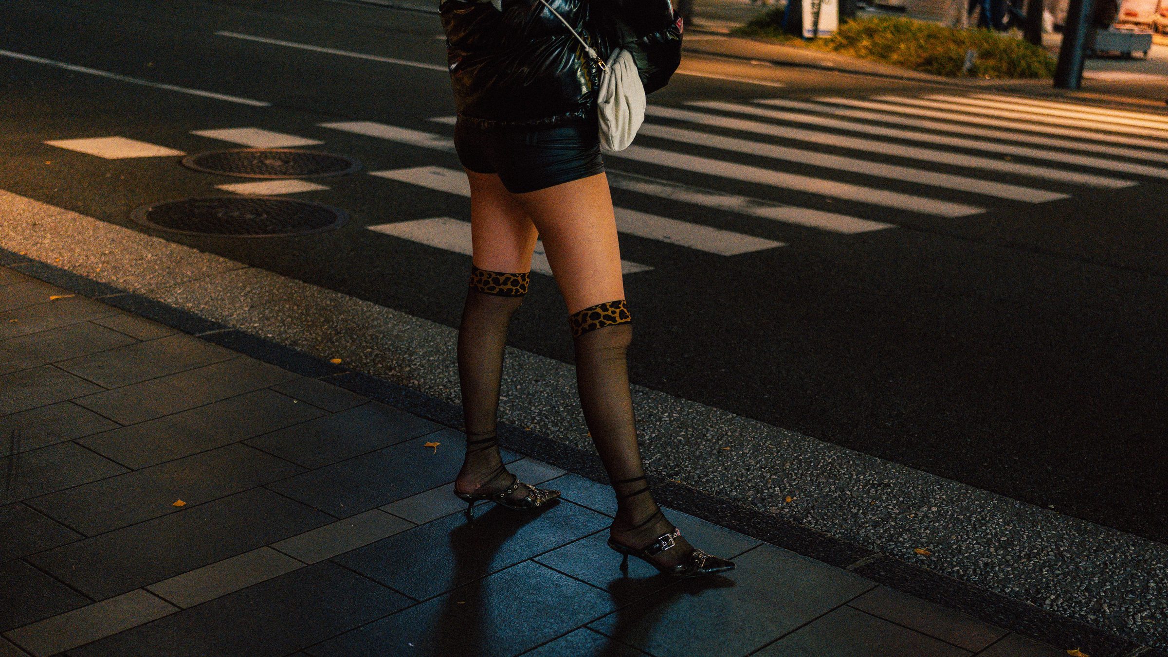 Photograph 54